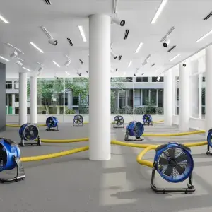 Fans drying carpet in an empty building